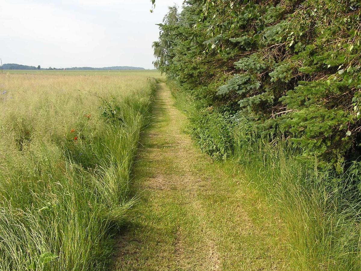 Peeneurlaub Lassan Экстерьер фото